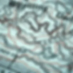 Mastering the Art of Reading Weather Maps for Watersports Introduction