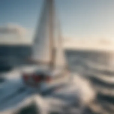 Technological devices used for wind mapping on board a vessel