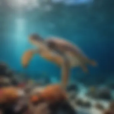 A vibrant underwater scene showing marine life thriving in a clean ocean environment.