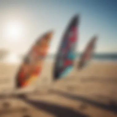 A diverse array of kite wings displayed on a sunny beach