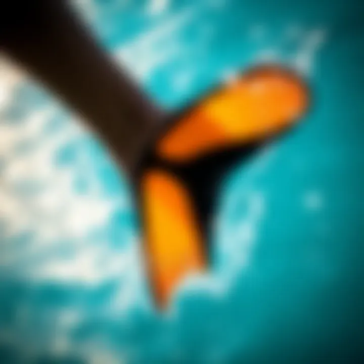 Material Design and Its Effects on Performance Material design impact on swimming performance