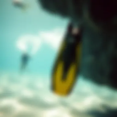 Comprehensive Guide to Selecting Ocean Swimming Fins Selection guide for ocean swimming fins