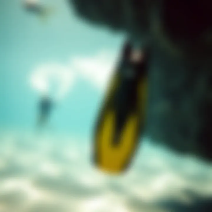 Comprehensive Guide to Selecting Ocean Swimming Fins Selection guide for ocean swimming fins