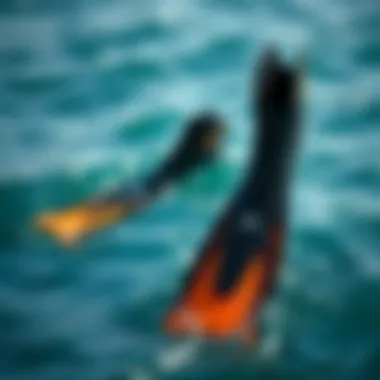 Fins Tailored for Different Ocean Conditions Fins suitable for various water conditions