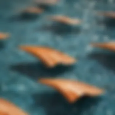 Close-up of swim fins materials