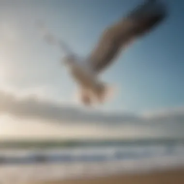 Seagulls soaring above the beach, embodying freedom and the spirit of the sea.