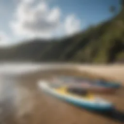 Different types of paddle boards arranged on a scenic beach