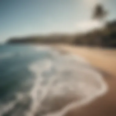 Panoramic view of Playa Venao beach