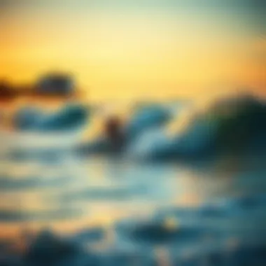 The Endless Summer Surf Experience in the Outer Banks Introduction The Endless Summer Surf Experience in the Outer Banks Introduction