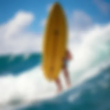 The Intricacies of Honolua Surfing Summary The Intricacies of Honolua Surfing Summary