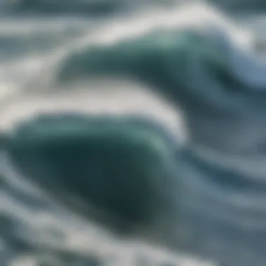 Detailed ocean wave map showcasing various wave patterns