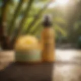 Close-up of Sun Bum Moisturizer with a tropical background