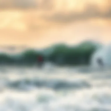 Impact of storm waves on coastal environment